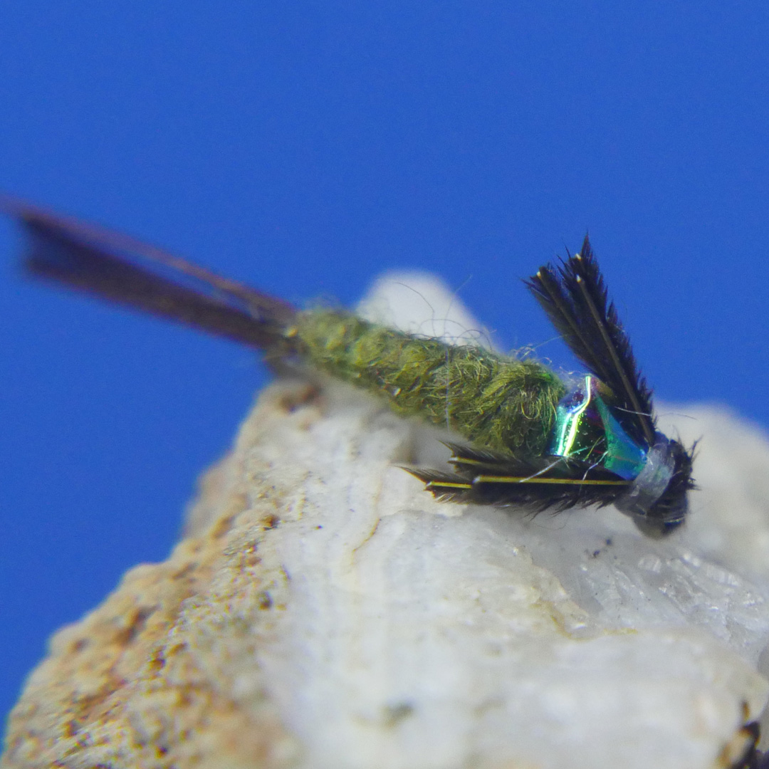 Barr Emerger