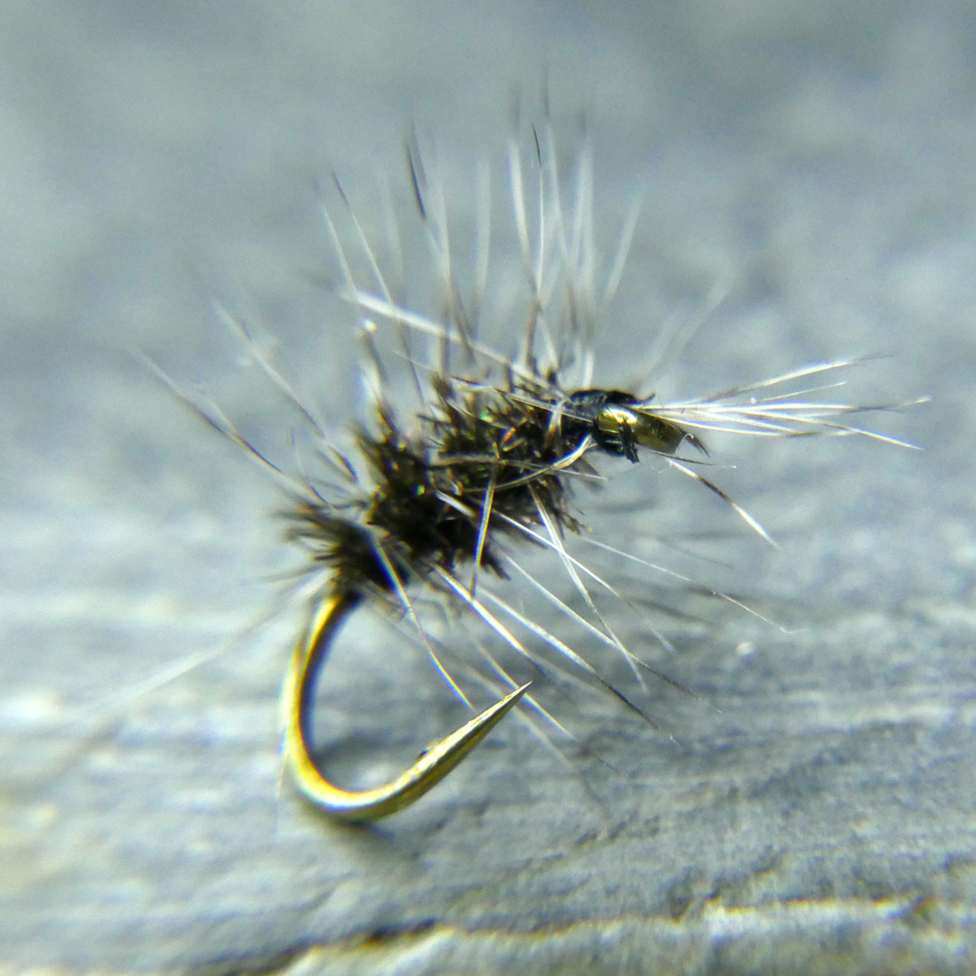 Griffiths Gnat