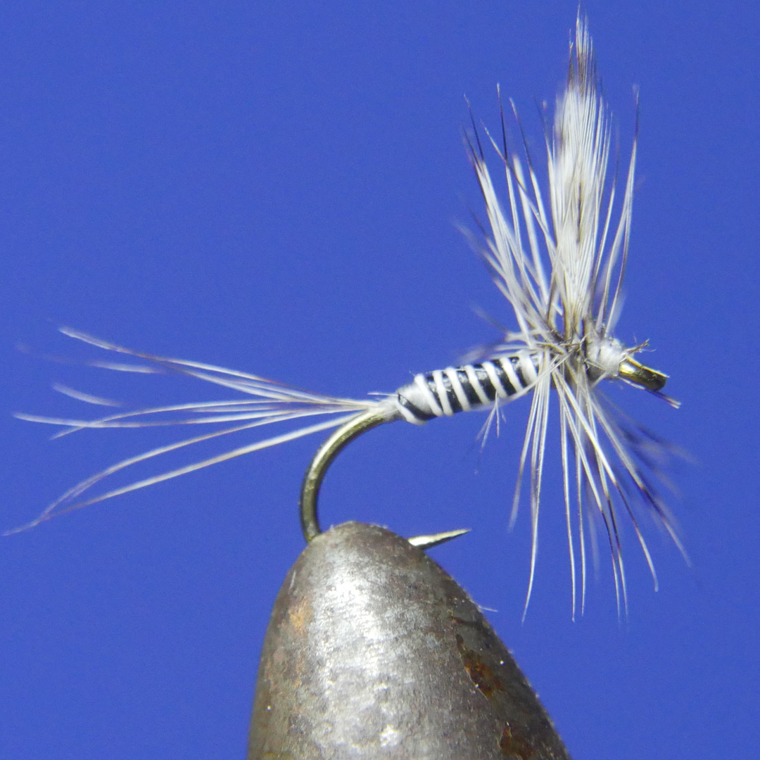 Mosquito