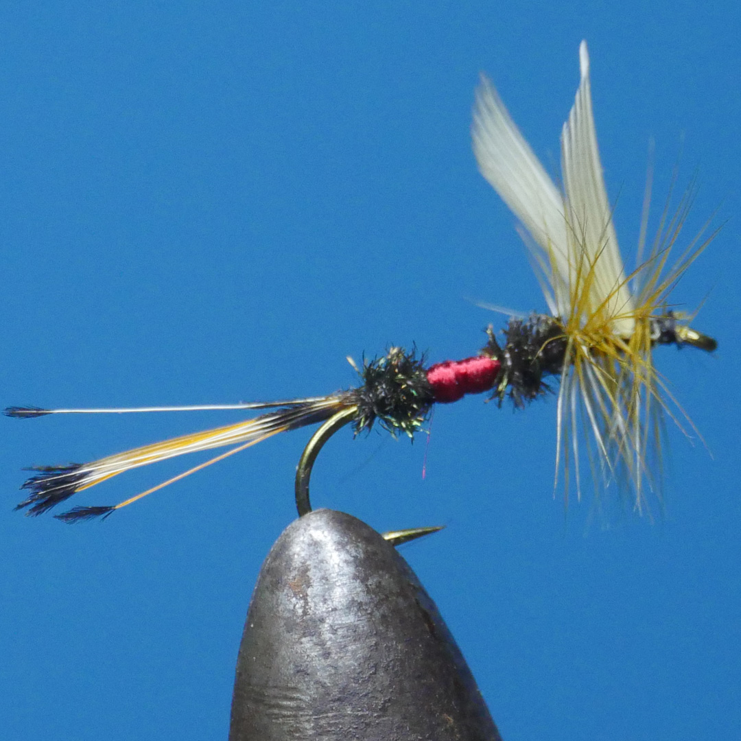 Royal Coachman
