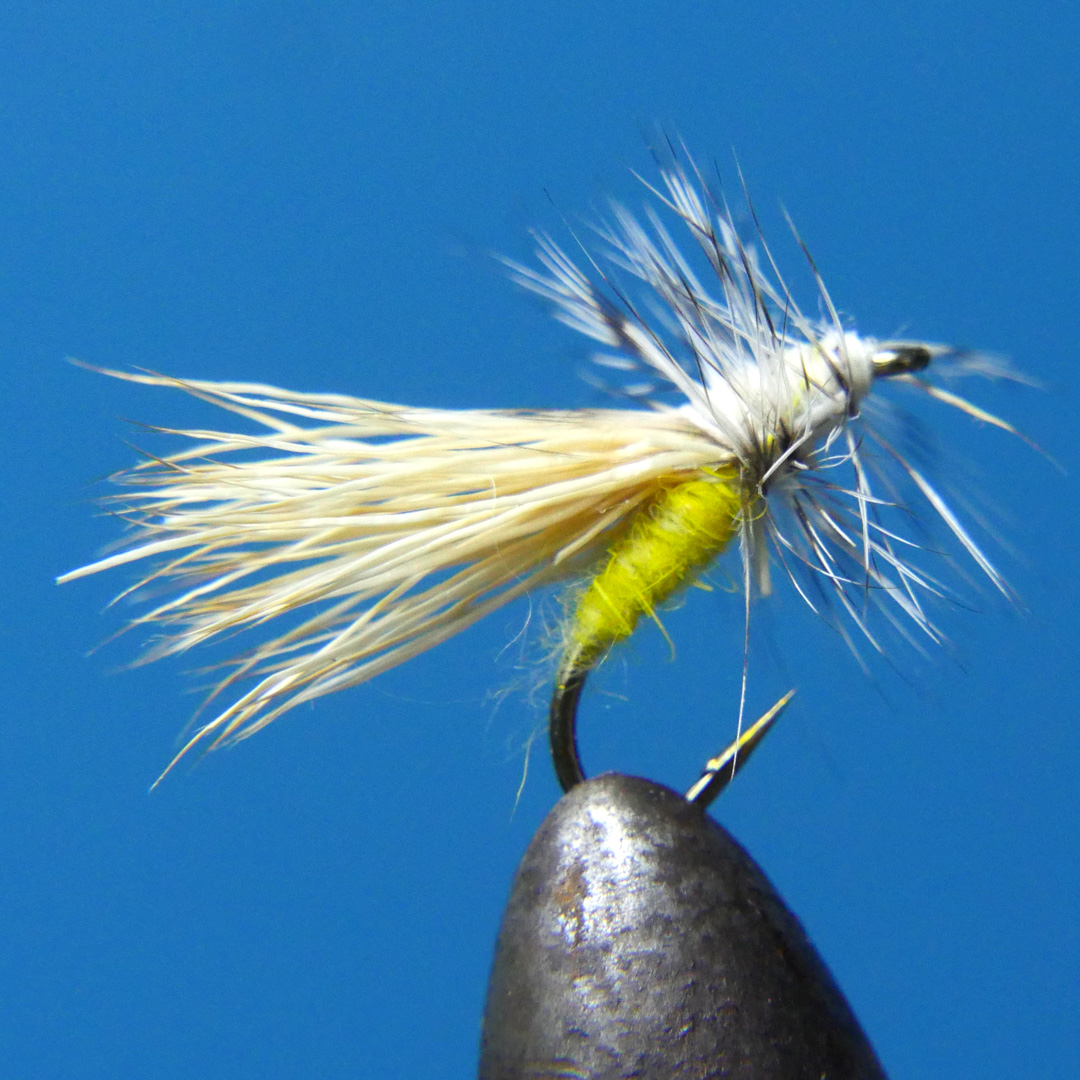 Yellow Sally