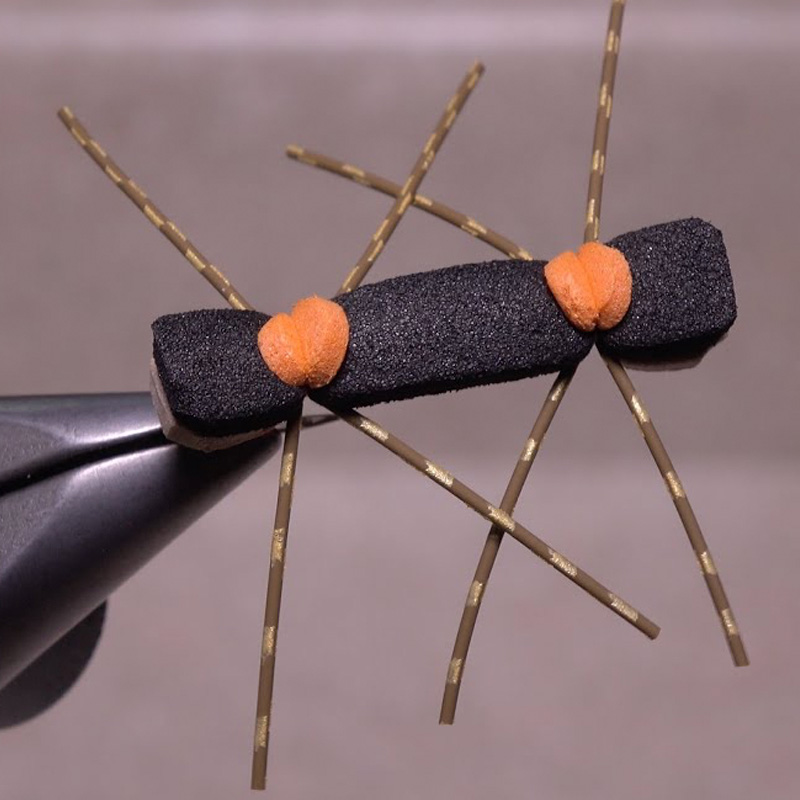 Chernobyl Ant