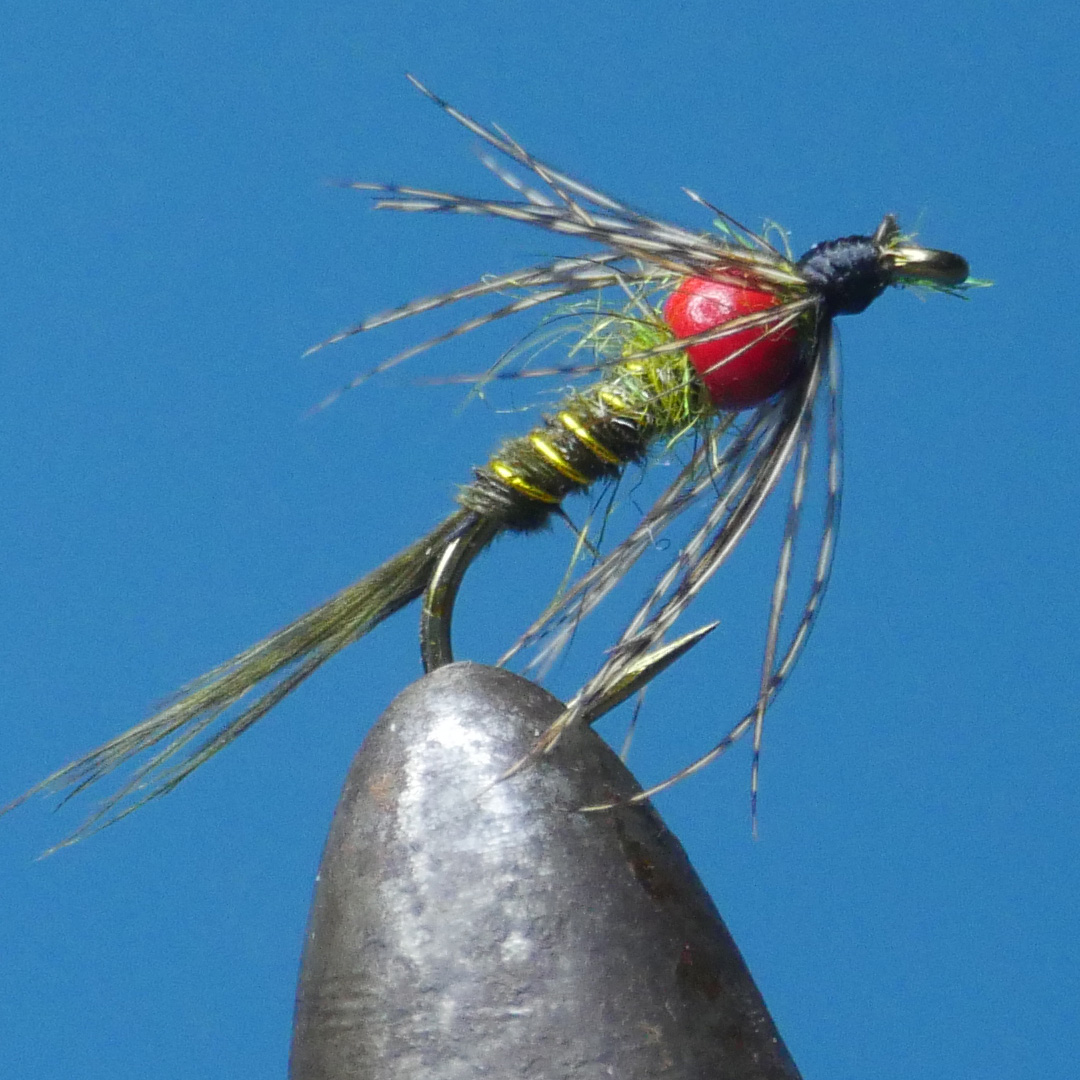 Japanese Pheasant Tail