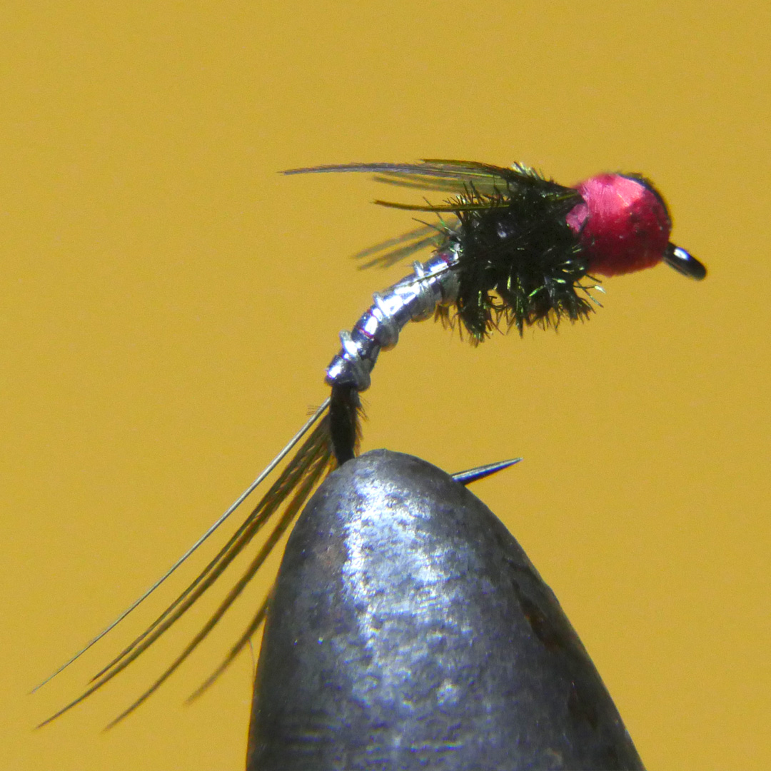 Lightning Bug