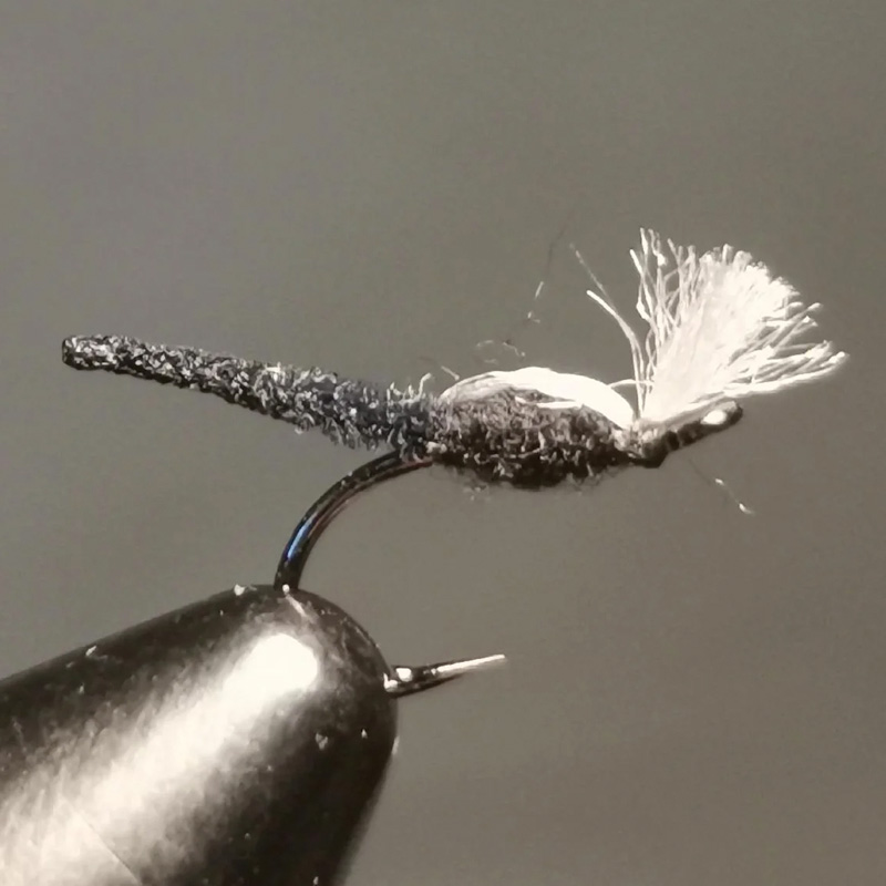 Palamino Midge