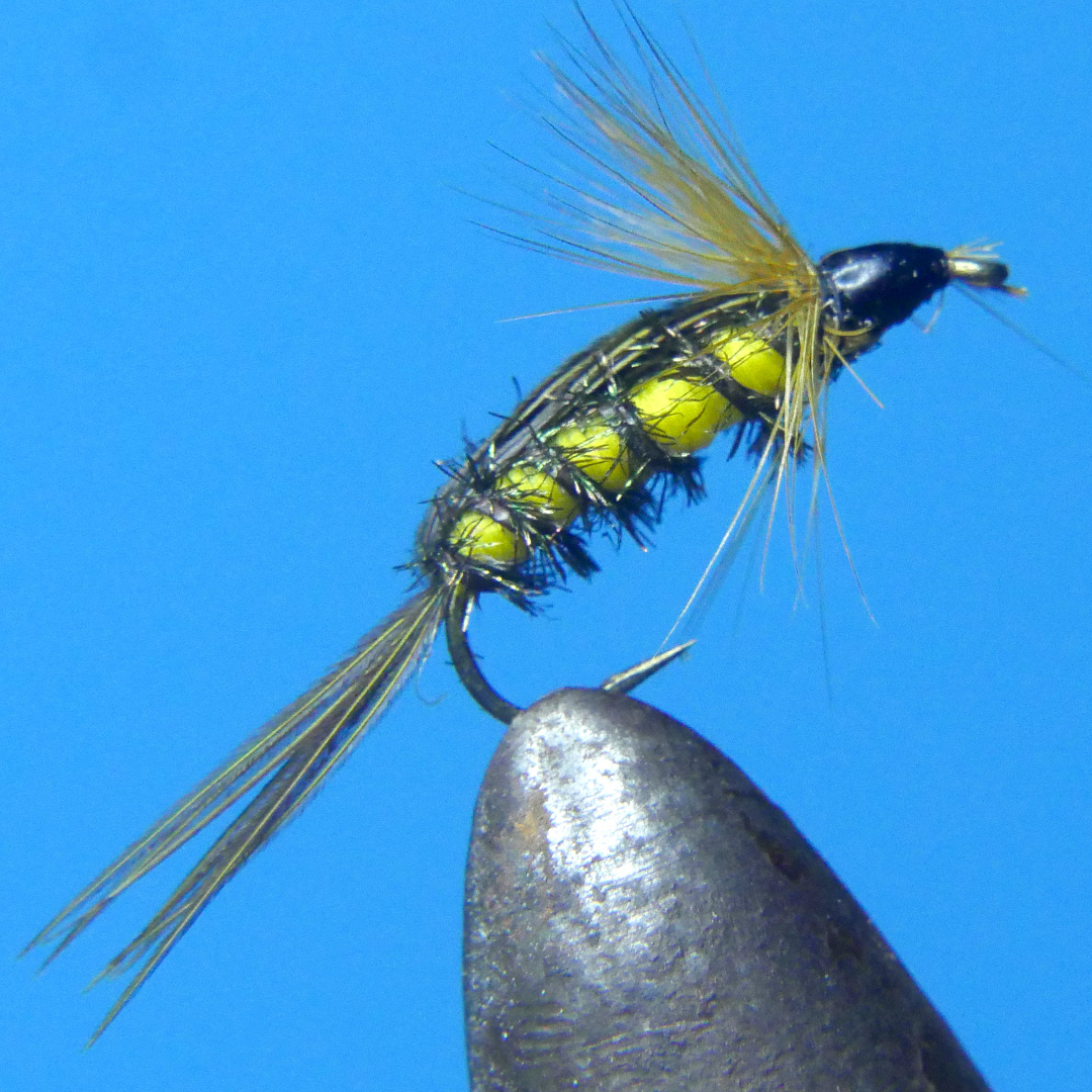 Tellico Nymph