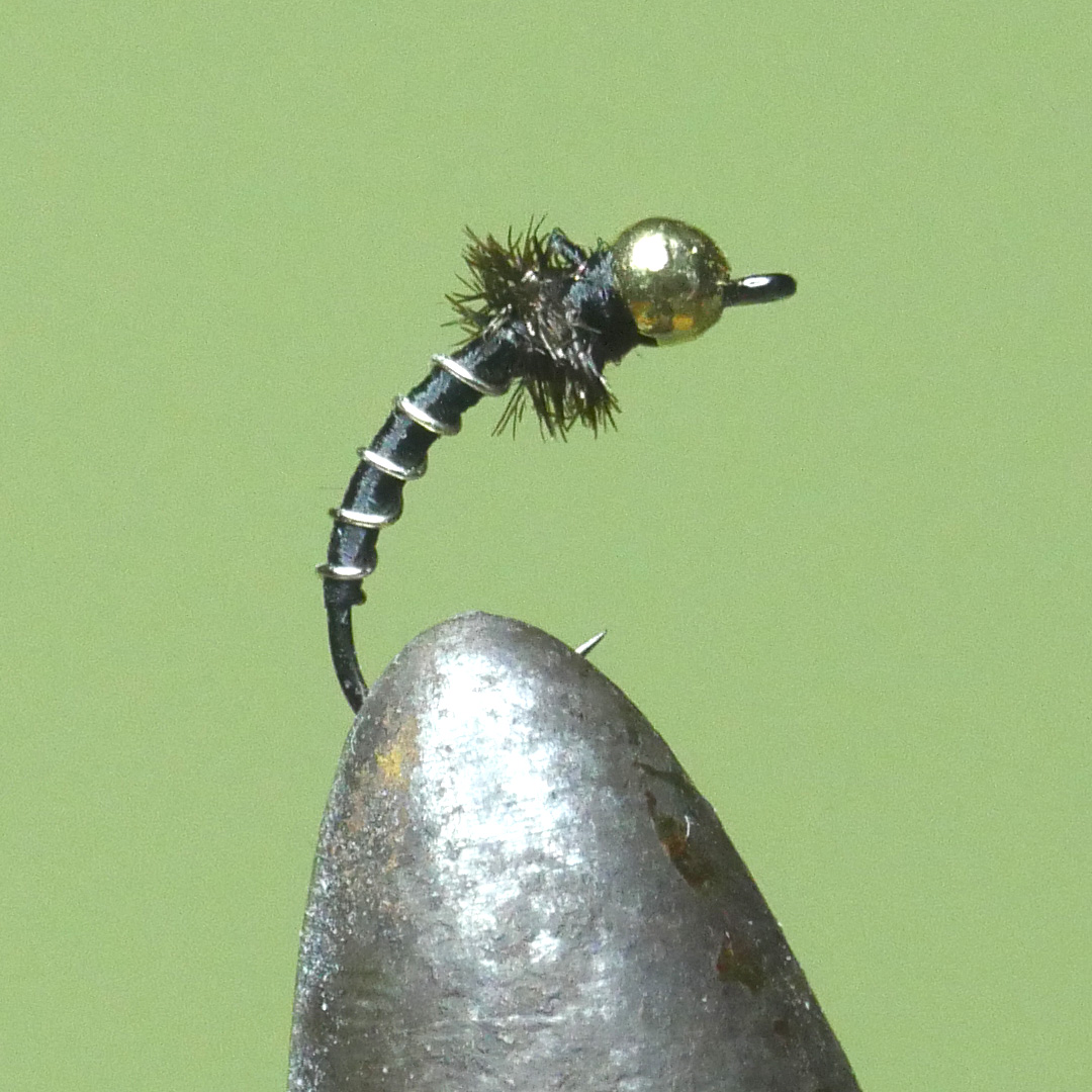 Zebra Midge