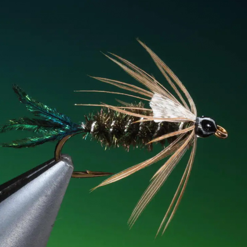 Zug Bug