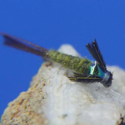 Barr Emerger