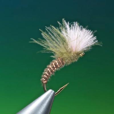 Petitjean Emerger