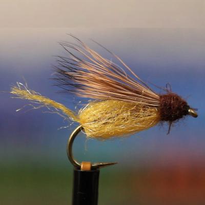 Sparkle Pupa