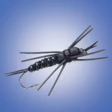 Black Stone Fly