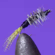CK Nymph