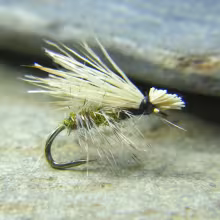 Elk Hair Caddis