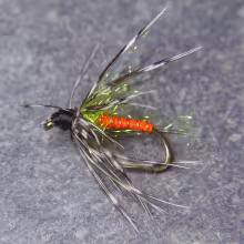 Partridge and Orange