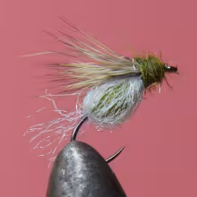 Sparkle Pupa