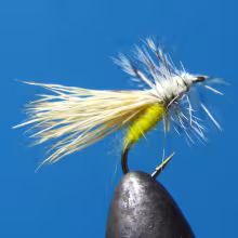 Yellow Sally