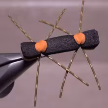 Chernobyl Ant