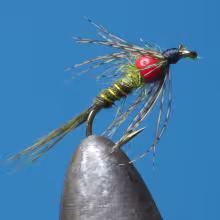 Japanese Pheasant Tail