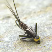 Pheasant Tail