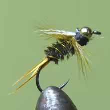 Prince Nymph